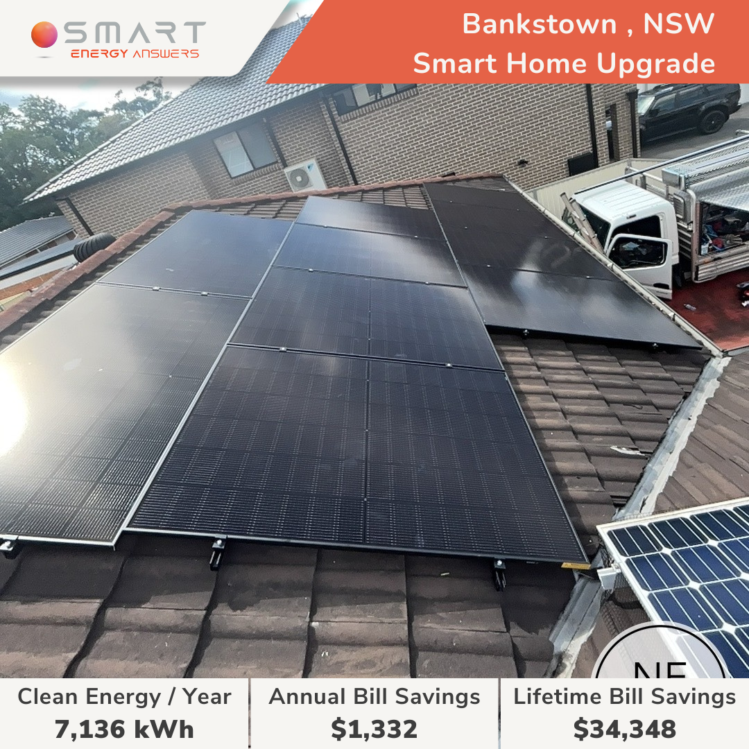 Bankstown , NSW - Edward Dobosz (2)